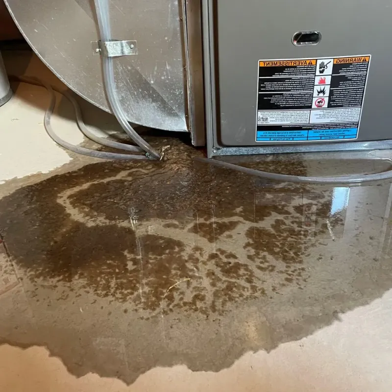 Pipe Burst and Leak Restoration in Bremen, IN