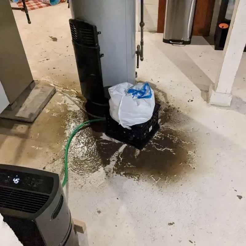Sewage Backup Cleanup Service in Bremen, IN